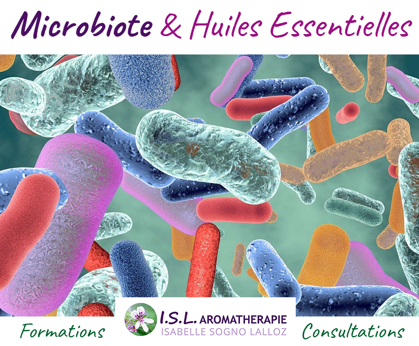 ISL Aromatherapie Microbiote et Huiles essentielles